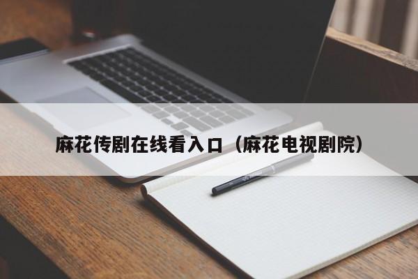麻花传剧在线看入口（麻花电视剧院）