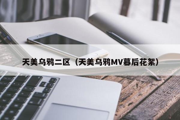 天美乌鸦二区（天美乌鸦MV幕后花絮）
