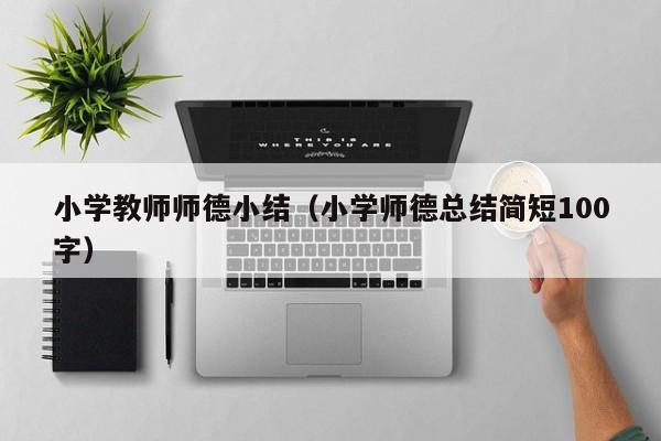 小学教师师德小结（小学师德总结简短100字）