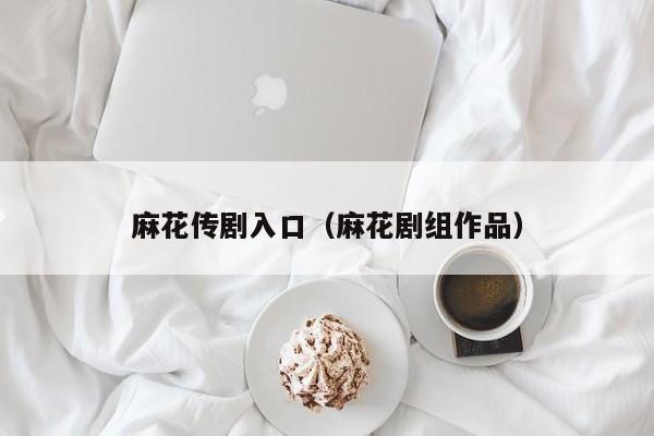 麻花传剧入口（麻花剧组作品）