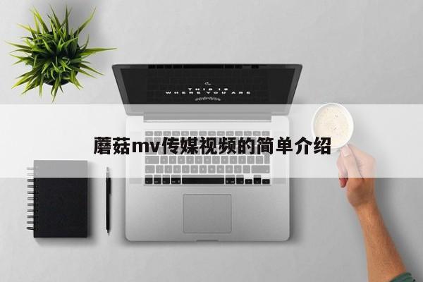 蘑菇mv传媒视频的简单介绍