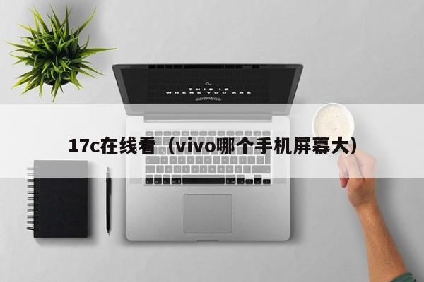 17c在线看（vivo哪个手机屏幕大）
